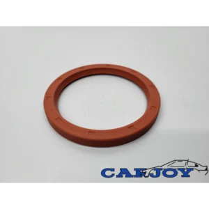 01030 - Murena 1.6 Crankshaft Seal Flywheel Side