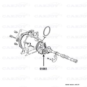 01081 - Murena 1.6 / Bagheera Camshaft Sprocket