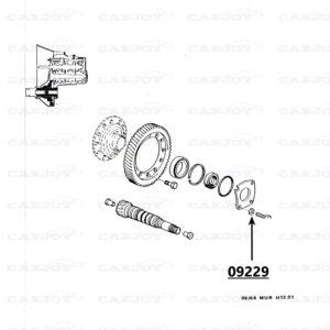 09229 - Murena Differential Cover Washer